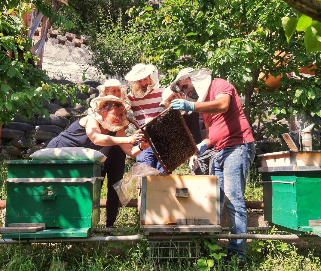 Armbee Honey Farm Villa Alaverdi Eksteriør billede